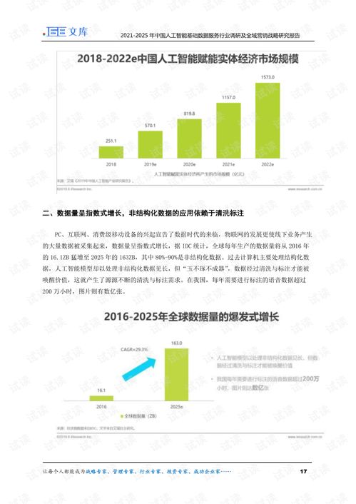 2021-2025年中国人工智能基础数据服务行业调研与全域营销战略研究报告